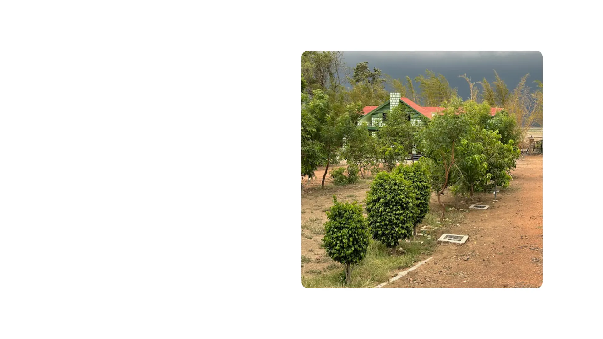 About Image 1