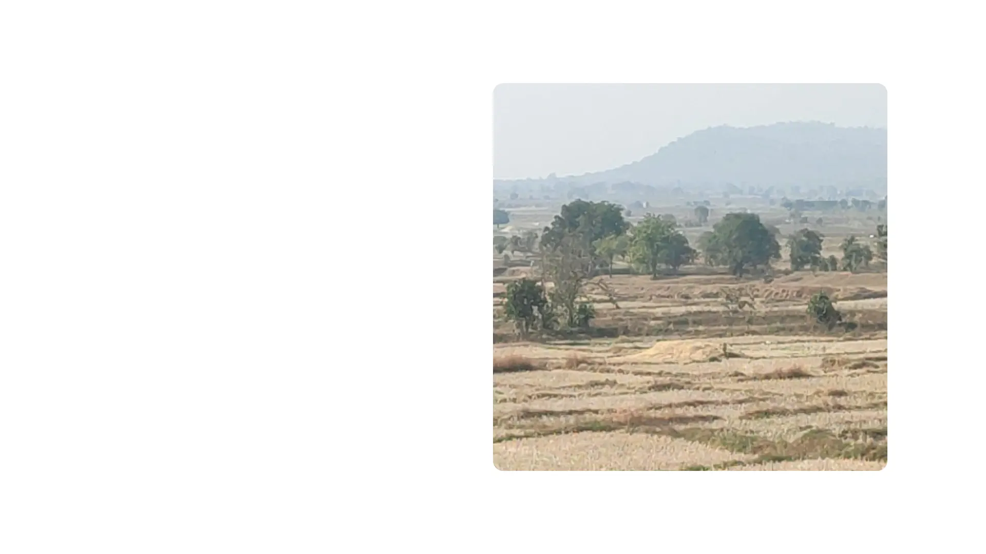 About Image 2