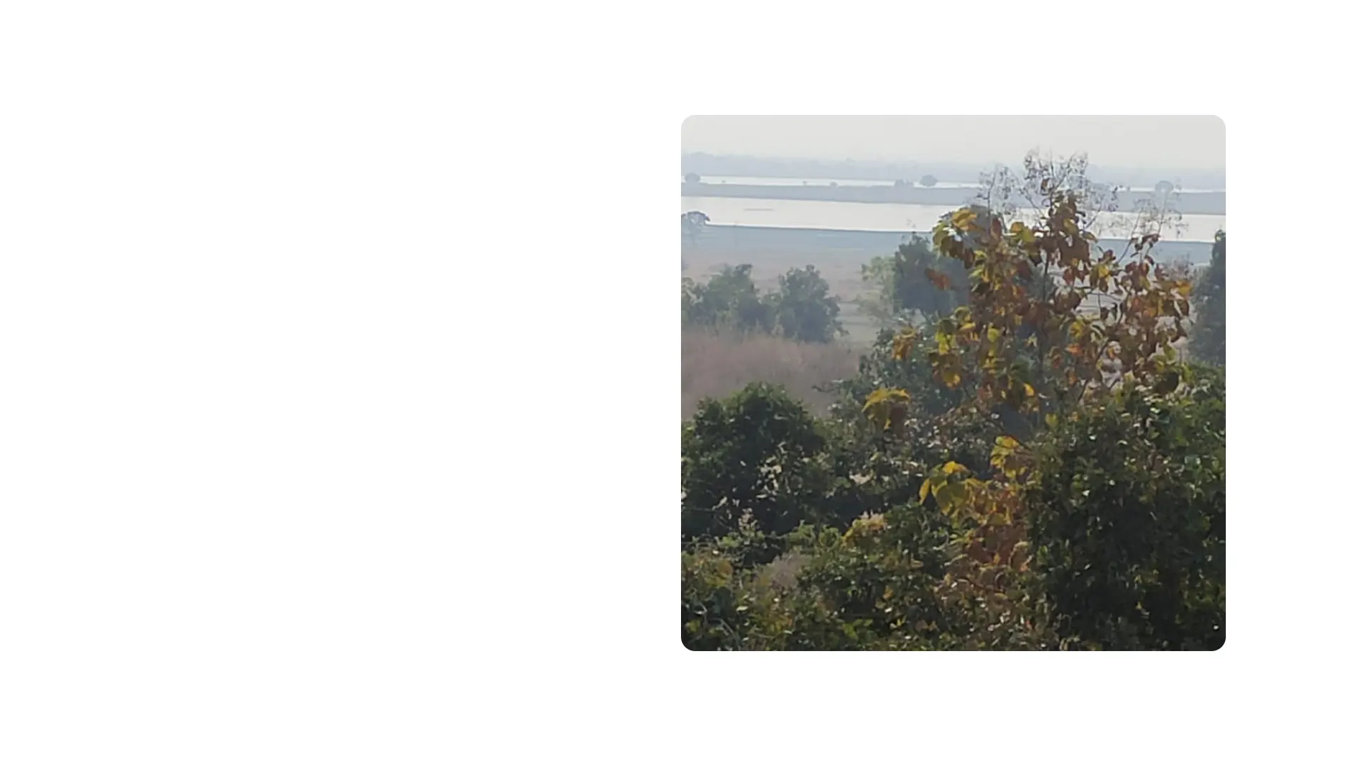 About Image 5